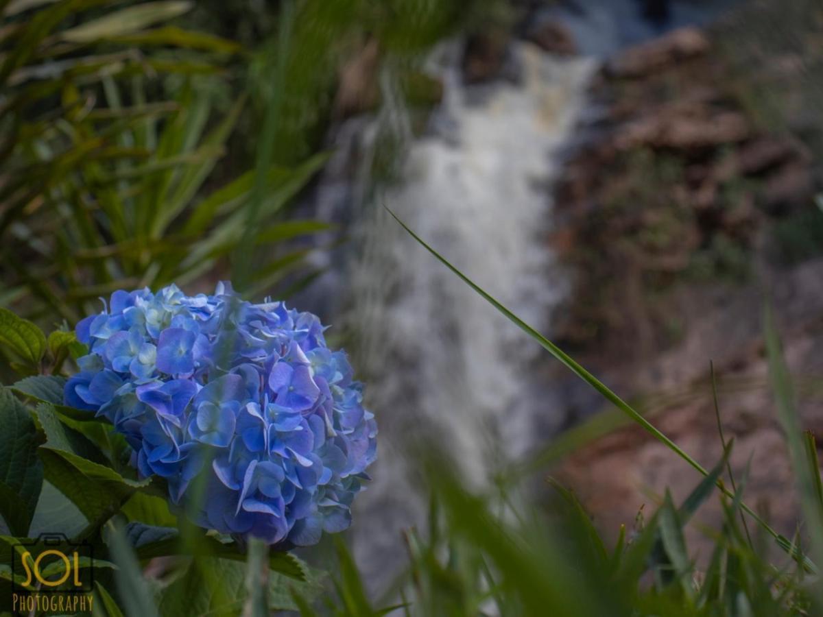 Pousada Aguas Da Mata Brejetuba 外观 照片